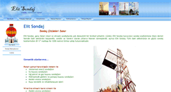 Desktop Screenshot of elitsondaj.com